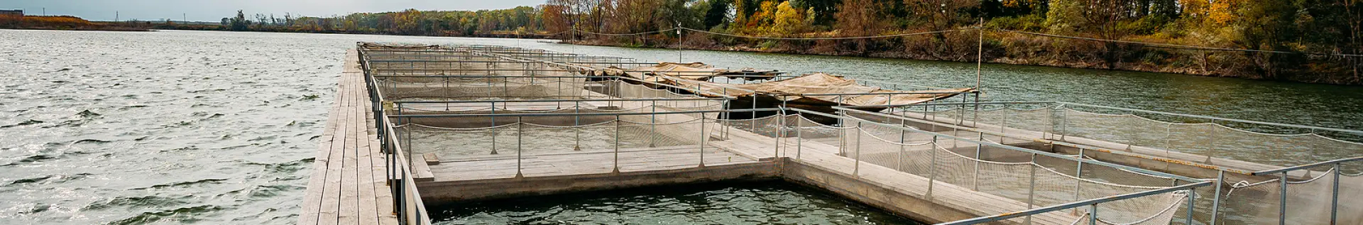 Cages  pour l'aquaculture et la pisciculture - Cod. CAGESQUARE
